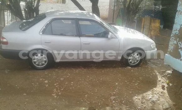 Buy Used Toyota Corolla Silver Car in Windhoek in Namibia Buy Used Toyota Corolla Silver Car in Windhoek in Namibia