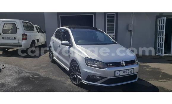 Buy Used Volkswagen Polo GTI Silver Car in Windhoek in Namibia Buy Used Volkswagen Polo GTI Silver Car in Windhoek in Namibia