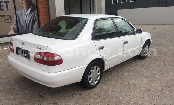Buy Used Toyota Corolla White Car in Windhoek in Namibia Buy Used Toyota Corolla White Car in Windhoek in Namibia