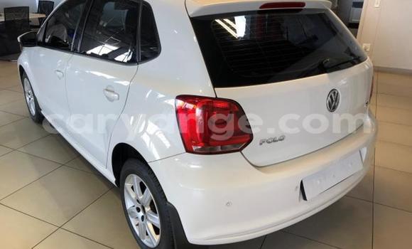 Buy Used Volkswagen Polo White Car in Windhoek in Namibia Buy Used Volkswagen Polo White Car in Windhoek in Namibia