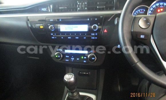 Buy Used Toyota Corolla Silver Car in Windhoek in Namibia Buy Used Toyota Corolla Silver Car in Windhoek in Namibia