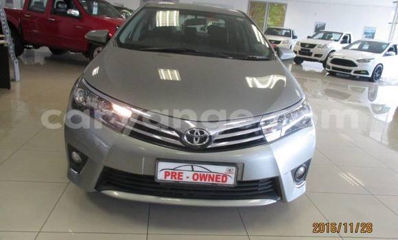 Buy Used Toyota Corolla Silver Car in Windhoek in Namibia Buy Used Toyota Corolla Silver Car in Windhoek in Namibia