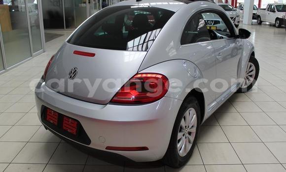 Acheter Occasion Voiture Volkswagen Beetle Gris à Windhoek, Namibie Acheter Occasion Voiture Volkswagen Beetle Gris à Windhoek, Namibie