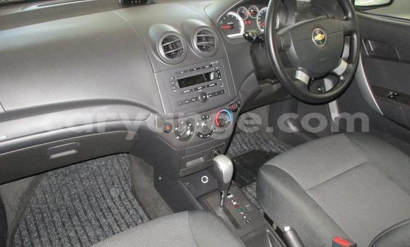 Acheter Occasion Voiture Chevrolet Aveo Blanc à Windhoek, Namibie Acheter Occasion Voiture Chevrolet Aveo Blanc à Windhoek, Namibie