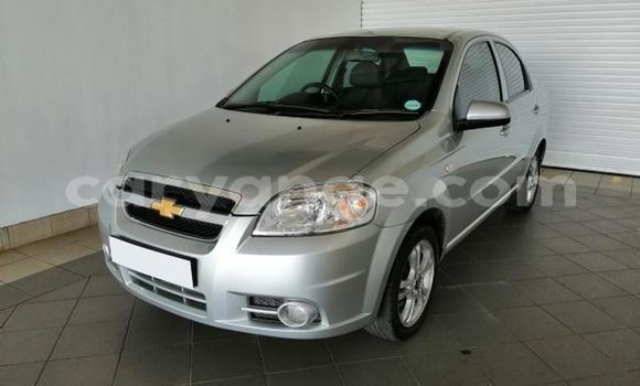 Buy Used Chevrolet Aveo Silver Car in Windhoek in Namibia Buy Used Chevrolet Aveo Silver Car in Windhoek in Namibia