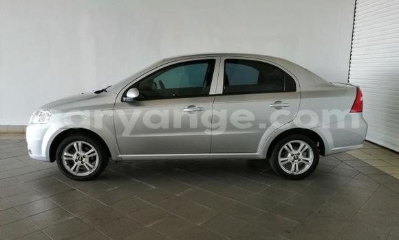 Buy Used Chevrolet Aveo Silver Car in Windhoek in Namibia Buy Used Chevrolet Aveo Silver Car in Windhoek in Namibia