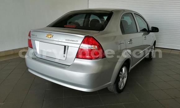 Buy Used Chevrolet Aveo Silver Car in Windhoek in Namibia Buy Used Chevrolet Aveo Silver Car in Windhoek in Namibia