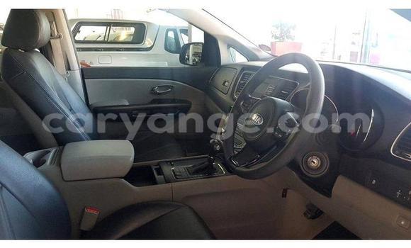 Acheter Occasion Voiture Kia Sedona Blanc à Windhoek, Namibie Acheter Occasion Voiture Kia Sedona Blanc à Windhoek, Namibie