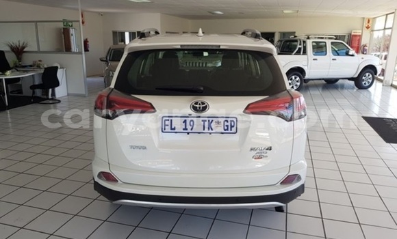 Buy Used Toyota RAV4 White Car in Windhoek in Namibia Buy Used Toyota RAV4 White Car in Windhoek in Namibia