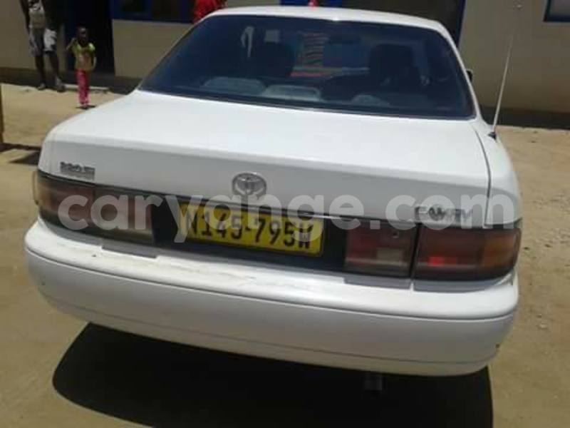 Big with watermark 15578737 1281570078576389 5086098407229006862 n