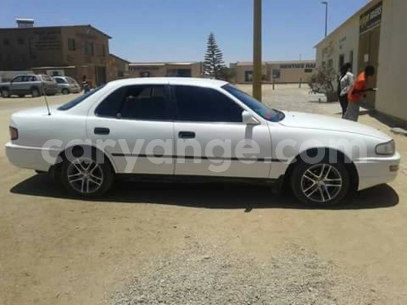 Big with watermark 15590123 1873629849587474 5620022596992670559 n