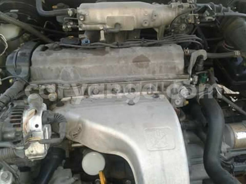 Big with watermark 16195545 964543743682119 5411391990017441485 n