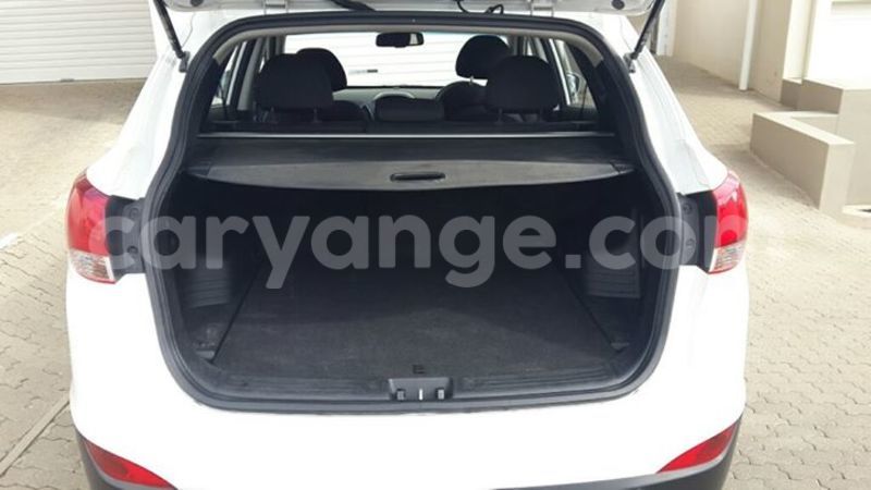 Big with watermark 15590123 1873629849587474 5620022596992670559 n