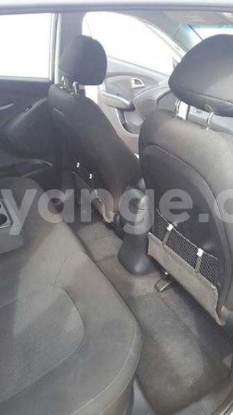 Big with watermark 16195545 964543743682119 5411391990017441485 n