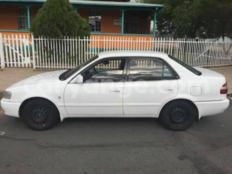 Big with watermark 15578737 1281570078576389 5086098407229006862 n