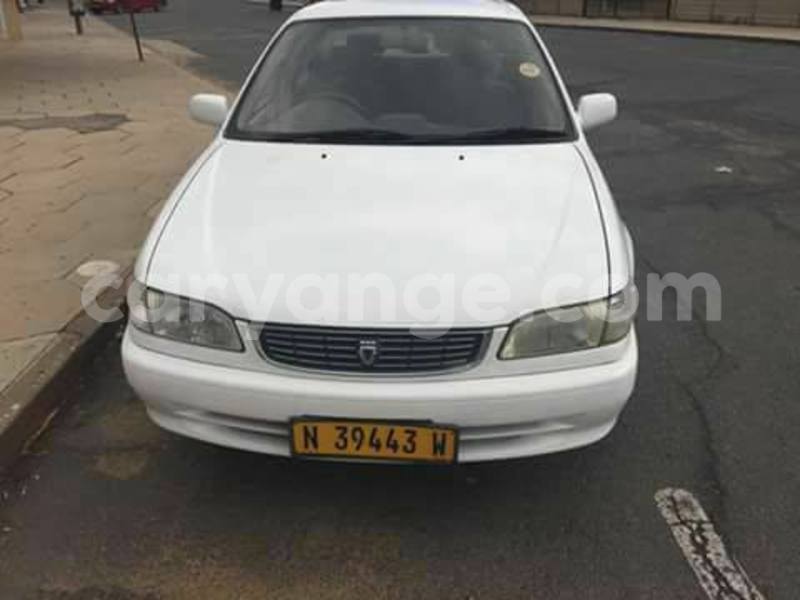 Big with watermark 16195545 964543743682119 5411391990017441485 n