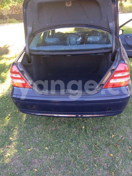 Big with watermark 15590123 1873629849587474 5620022596992670559 n