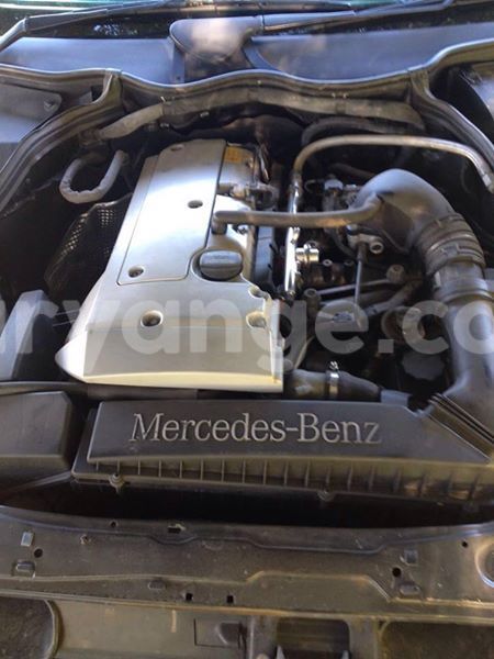 Big with watermark 16729479 216811802118464 8004625800169136656 n