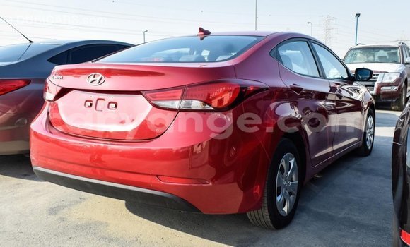 Acheter Import Voiture Hyundai Elantra Rouge à Import - Dubai, Namibie Acheter Import Voiture Hyundai Elantra Rouge à Import - Dubai, Namibie