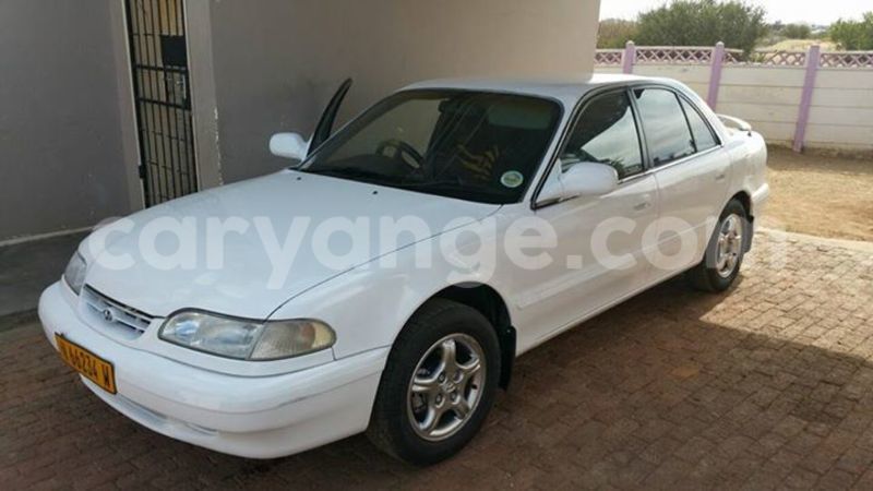 Big with watermark 15590123 1873629849587474 5620022596992670559 n