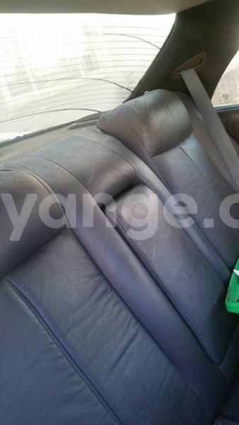 Big with watermark 16508402 687996474706900 565176718935992998 n