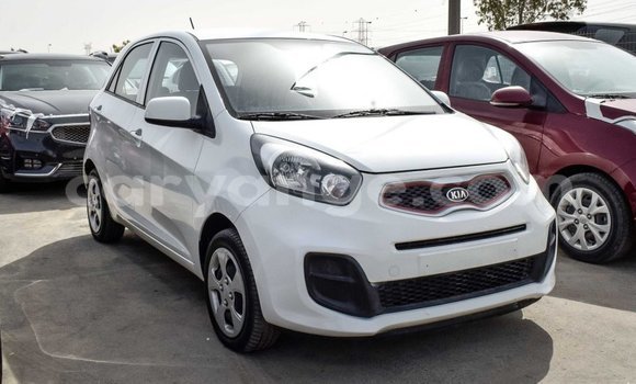 Buy Import Kia Picanto White Car in Import - Dubai in Namibia Buy Import Kia Picanto White Car in Import - Dubai in Namibia