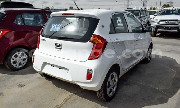 Buy Import Kia Picanto White Car in Import - Dubai in Namibia Buy Import Kia Picanto White Car in Import - Dubai in Namibia