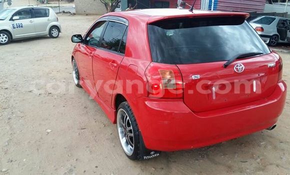 Buy Used Toyota Runx Red Car in Windhoek in Namibia Buy Used Toyota Runx Red Car in Windhoek in Namibia