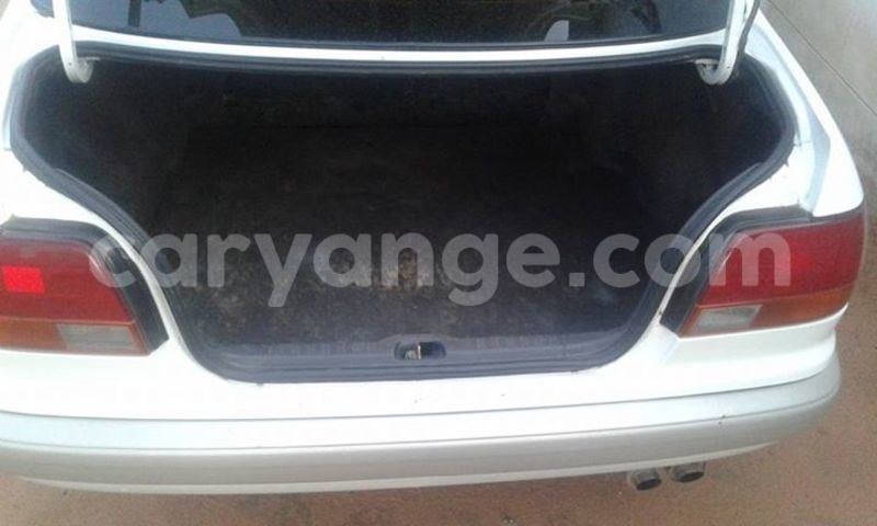 Big with watermark 16195545 964543743682119 5411391990017441485 n