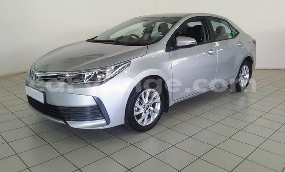 Buy Used Toyota Corolla Silver Car in Windhoek in Namibia Buy Used Toyota Corolla Silver Car in Windhoek in Namibia