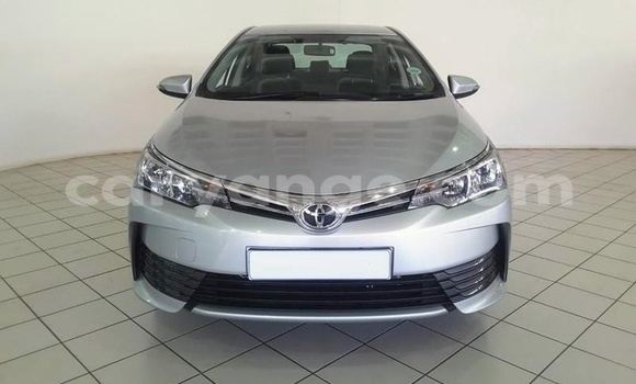Buy Used Toyota Corolla Silver Car in Windhoek in Namibia Buy Used Toyota Corolla Silver Car in Windhoek in Namibia