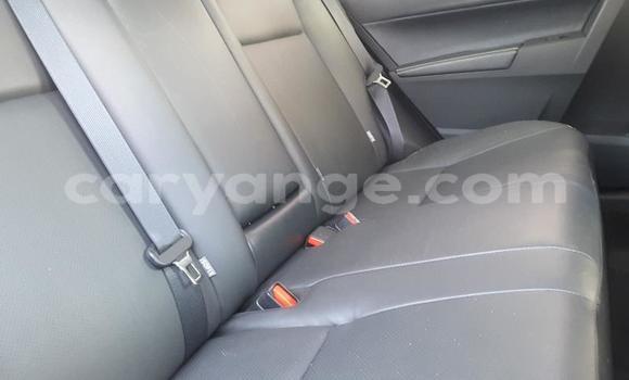 Buy Used Toyota Corolla Silver Car in Windhoek in Namibia Buy Used Toyota Corolla Silver Car in Windhoek in Namibia