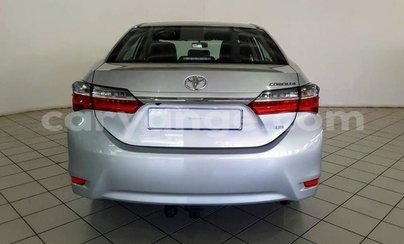 Buy Used Toyota Corolla Silver Car in Windhoek in Namibia Buy Used Toyota Corolla Silver Car in Windhoek in Namibia