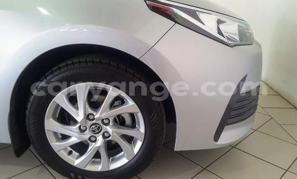 Buy Used Toyota Corolla Silver Car in Windhoek in Namibia Buy Used Toyota Corolla Silver Car in Windhoek in Namibia