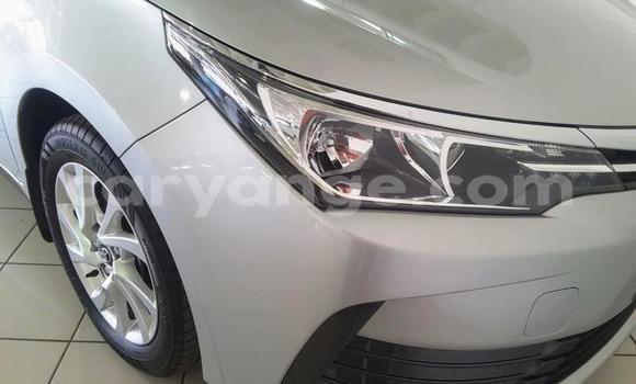 Buy Used Toyota Corolla Silver Car in Windhoek in Namibia Buy Used Toyota Corolla Silver Car in Windhoek in Namibia