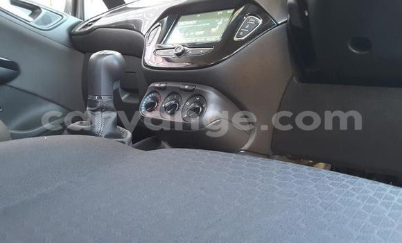 Buy Used Opel Corsa Silver Car in Windhoek in Namibia Buy Used Opel Corsa Silver Car in Windhoek in Namibia