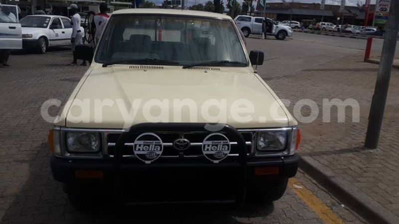 Big with watermark 16684261 1284056601632011 8943575257685139748 n