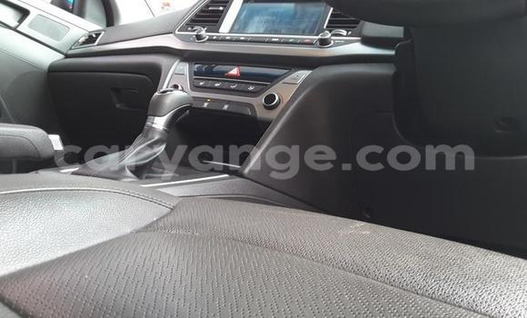 Acheter Occasion Voiture Hyundai Elantra Bleu à Windhoek, Namibie Acheter Occasion Voiture Hyundai Elantra Bleu à Windhoek, Namibie