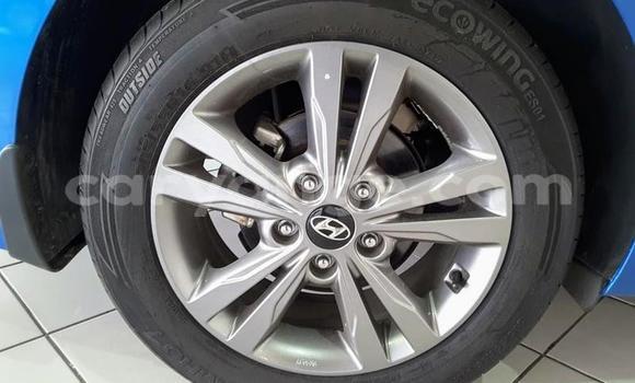 Acheter Occasion Voiture Hyundai Elantra Bleu à Windhoek, Namibie Acheter Occasion Voiture Hyundai Elantra Bleu à Windhoek, Namibie