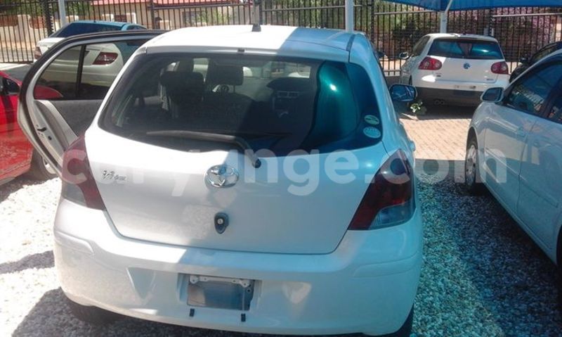 Big with watermark 16684261 1284056601632011 8943575257685139748 n