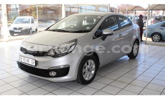 Buy Used Kia Rio Silver Car in Walvis Bay in Namibia Buy Used Kia Rio Silver Car in Walvis Bay in Namibia
