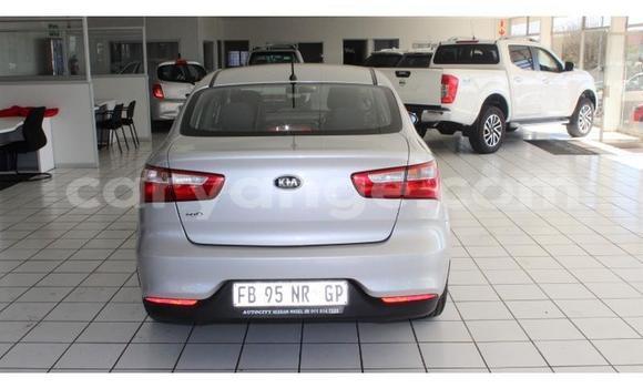 Buy Used Kia Rio Silver Car in Walvis Bay in Namibia Buy Used Kia Rio Silver Car in Walvis Bay in Namibia