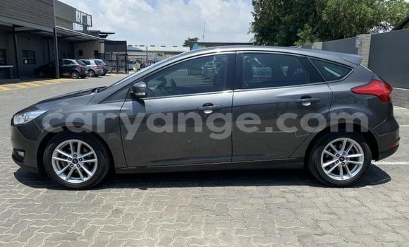 Acheter Occasion Voiture Ford Focus Gris à Windhoek, Namibie Acheter Occasion Voiture Ford Focus Gris à Windhoek, Namibie