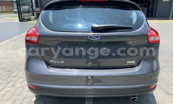 Acheter Occasion Voiture Ford Focus Gris à Windhoek, Namibie Acheter Occasion Voiture Ford Focus Gris à Windhoek, Namibie