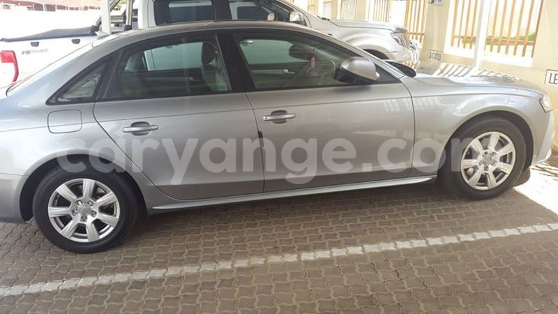 Big with watermark 16508402 687996474706900 565176718935992998 n