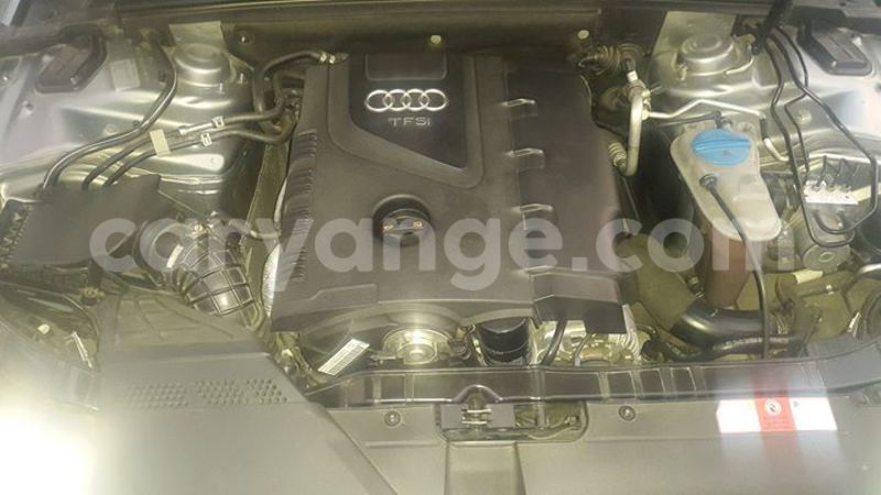 Big with watermark 16729479 216811802118464 8004625800169136656 n