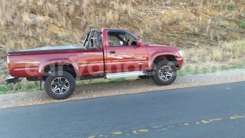 Big with watermark 16298494 1556577997703333 5880869471342312895 n