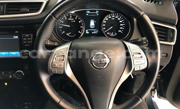 Buy Used Nissan X–Trail Blue Car in Windhoek in Namibia Buy Used Nissan X–Trail Blue Car in Windhoek in Namibia