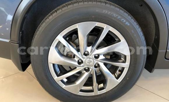 Buy Used Nissan X–Trail Blue Car in Windhoek in Namibia Buy Used Nissan X–Trail Blue Car in Windhoek in Namibia