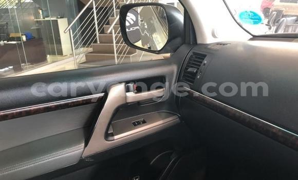 Acheter Occasion Voiture Toyota Land Cruiser Gris à Windhoek, Namibie Acheter Occasion Voiture Toyota Land Cruiser Gris à Windhoek, Namibie